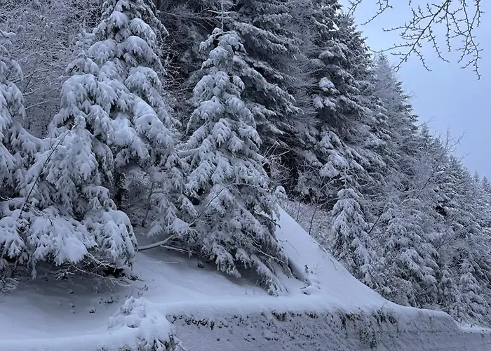 Panoramica Indipendente Villa